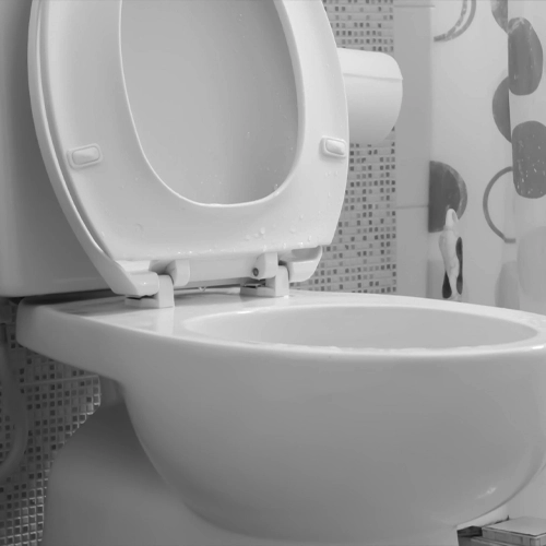 Desentupimento de Vaso Sanitário em Uberlândia Minas Gerais